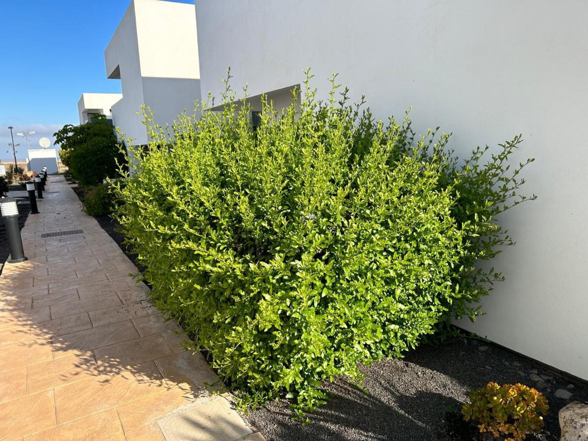 شقة Casilla De Costa, La Oliva Villaverde  المظهر الخارجي الصورة